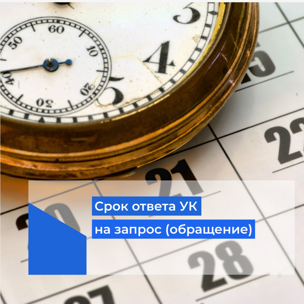 Срок ответа со дня внесения. Сроки ответа на запрос. время ответа.